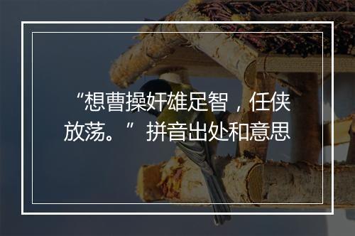 “想曹操奸雄足智，任侠放荡。”拼音出处和意思