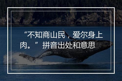 “不知商山民，爱尔身上肉。”拼音出处和意思