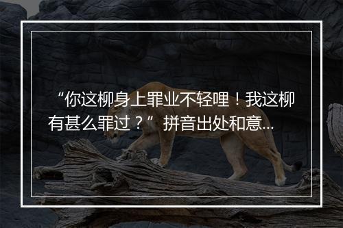 “你这柳身上罪业不轻哩！我这柳有甚么罪过？”拼音出处和意思