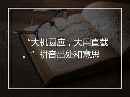 “大机圆应，大用直截。”拼音出处和意思