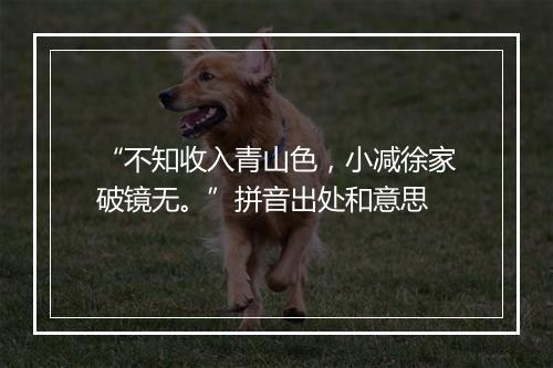 “不知收入青山色，小减徐家破镜无。”拼音出处和意思