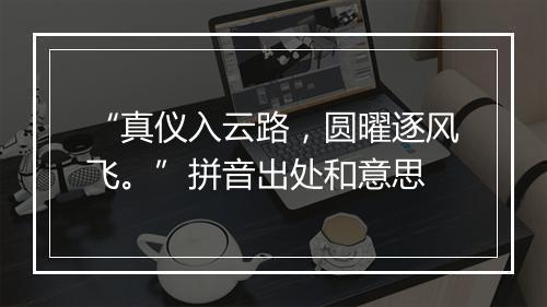 “真仪入云路，圆曜逐风飞。”拼音出处和意思