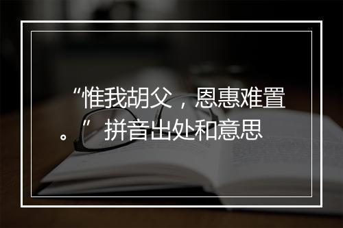 “惟我胡父，恩惠难置。”拼音出处和意思