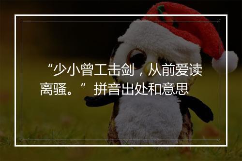 “少小曾工击剑，从前爱读离骚。”拼音出处和意思