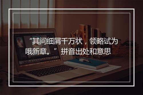 “其间细屑千万状，领略试为哦新章。”拼音出处和意思