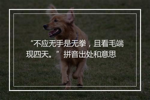 “不应无手是无拳，且看毛端现四天。”拼音出处和意思