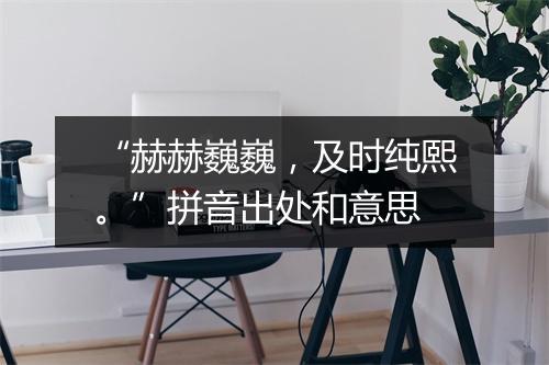 “赫赫巍巍，及时纯熙。”拼音出处和意思