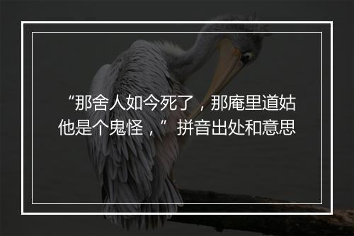 “那舍人如今死了，那庵里道姑他是个鬼怪，”拼音出处和意思