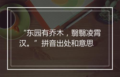 “东园有乔木，翳翳凌霄汉。”拼音出处和意思