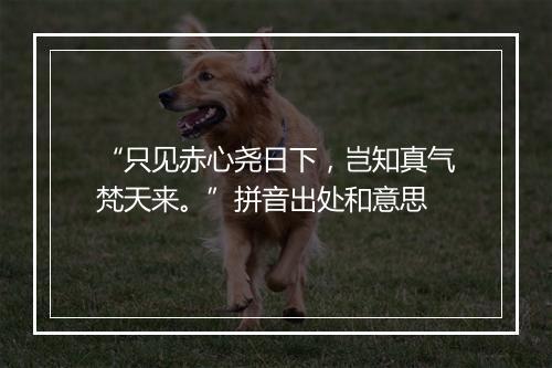 “只见赤心尧日下，岂知真气梵天来。”拼音出处和意思