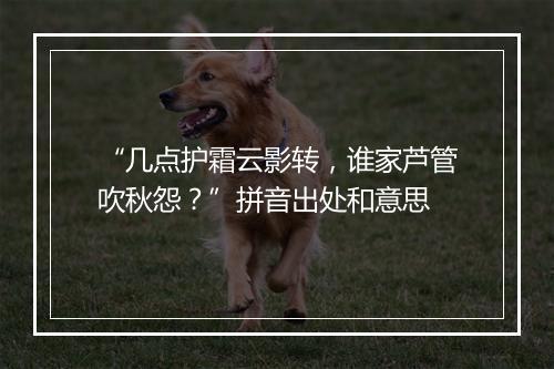 “几点护霜云影转，谁家芦管吹秋怨？”拼音出处和意思