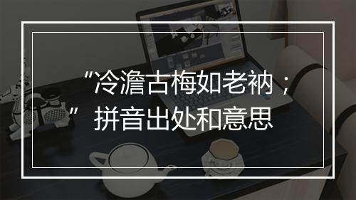 “冷澹古梅如老衲；”拼音出处和意思