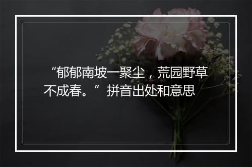 “郁郁南坡一聚尘，荒园野草不成春。”拼音出处和意思