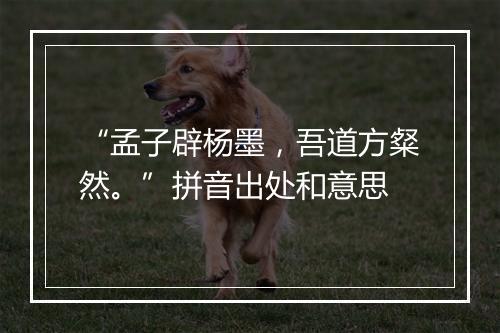 “孟子辟杨墨，吾道方粲然。”拼音出处和意思