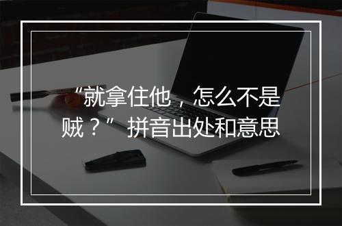 “就拿住他，怎么不是贼？”拼音出处和意思