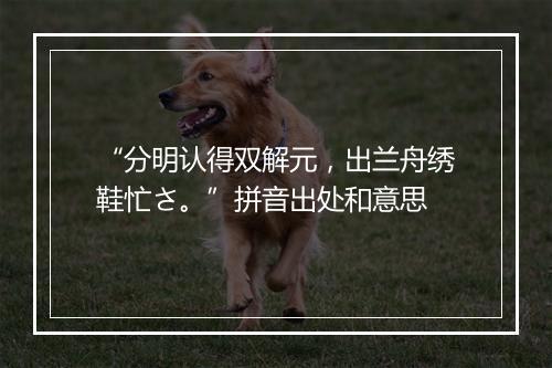 “分明认得双解元，出兰舟绣鞋忙さ。”拼音出处和意思