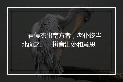 “君侯杰出南方者，老仆终当北面之。”拼音出处和意思