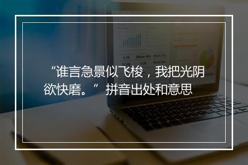 “谁言急景似飞梭，我把光阴欲快磨。”拼音出处和意思