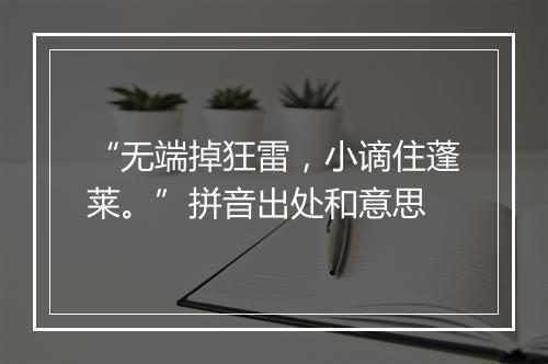 “无端掉狂雷，小谪住蓬莱。”拼音出处和意思