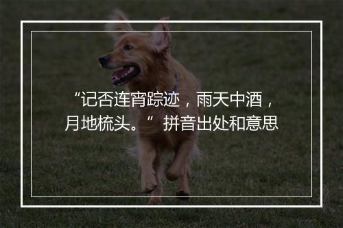 “记否连宵踪迹，雨天中酒，月地梳头。”拼音出处和意思