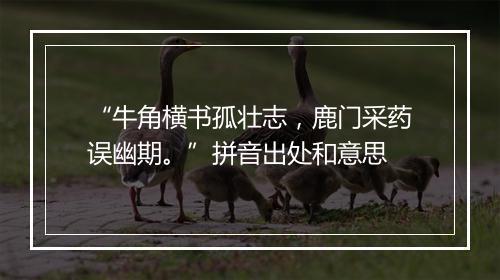 “牛角横书孤壮志，鹿门采药误幽期。”拼音出处和意思