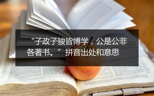 “子政子骏皆博学，公是公非各著书。”拼音出处和意思