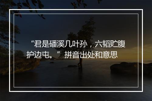 “君是磻溪几叶孙，六韬贮腹护边屯。”拼音出处和意思