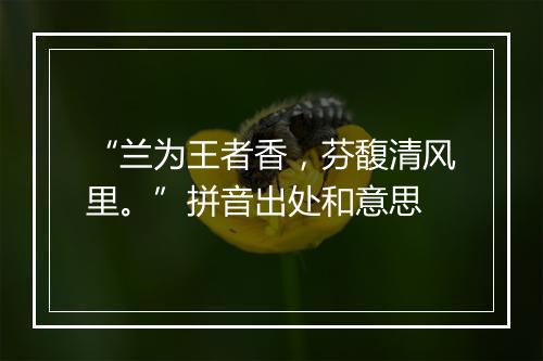 “兰为王者香，芬馥清风里。”拼音出处和意思