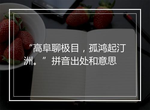 “高阜聊极目，孤鸿起汀洲。”拼音出处和意思