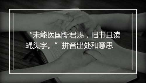 “未能医国惭君赐，旧书且读蝇头字。”拼音出处和意思