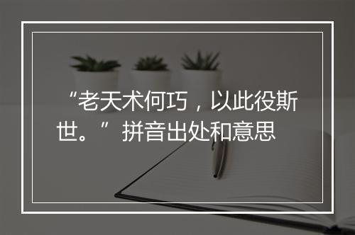 “老天术何巧，以此役斯世。”拼音出处和意思