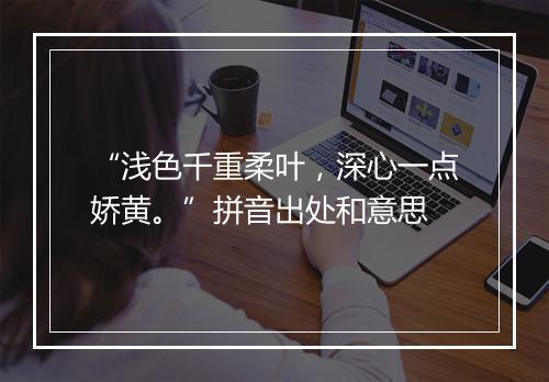 “浅色千重柔叶，深心一点娇黄。”拼音出处和意思