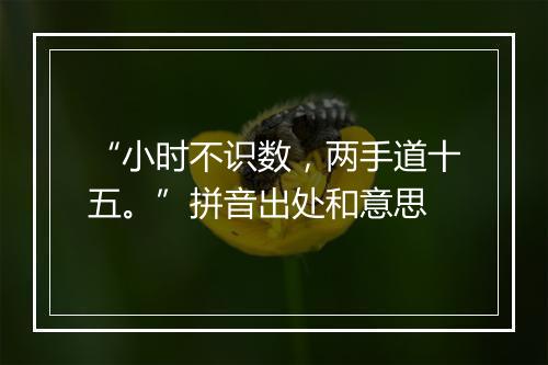 “小时不识数，两手道十五。”拼音出处和意思