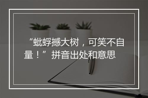 “蚍蜉撼大树，可笑不自量！”拼音出处和意思