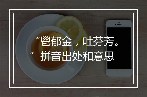 “鬯郁金，吐芬芳。”拼音出处和意思