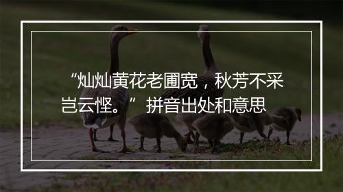 “灿灿黄花老圃宽，秋芳不采岂云悭。”拼音出处和意思