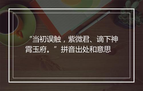 “当初误触，紫微君、谪下神霄玉府。”拼音出处和意思