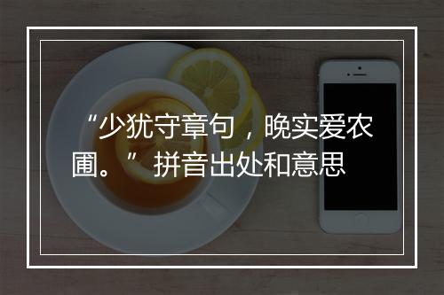 “少犹守章句，晚实爱农圃。”拼音出处和意思