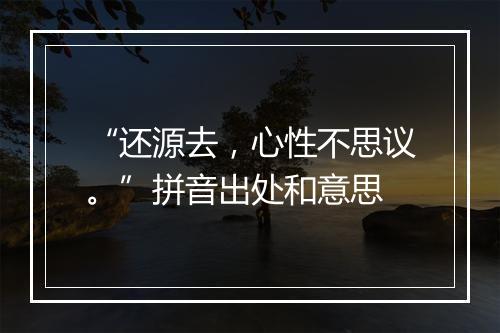 “还源去，心性不思议。”拼音出处和意思