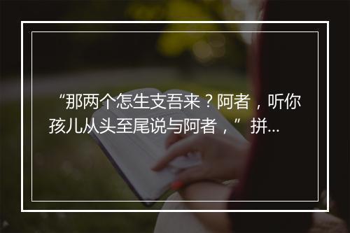 “那两个怎生支吾来？阿者，听你孩儿从头至尾说与阿者，”拼音出处和意思