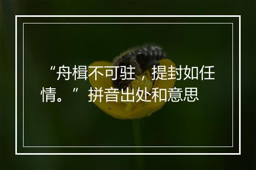 “舟楫不可驻，提封如任情。”拼音出处和意思