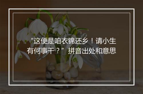 “这便是咱衣锦还乡！请小生有何事干？”拼音出处和意思