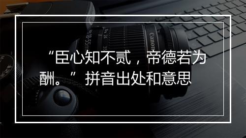 “臣心知不贰，帝德若为酬。”拼音出处和意思