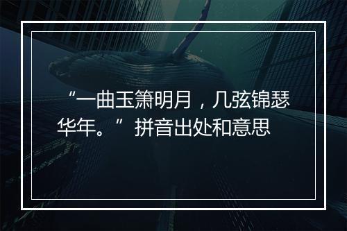 “一曲玉箫明月，几弦锦瑟华年。”拼音出处和意思