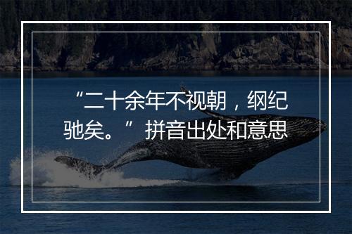 “二十余年不视朝，纲纪驰矣。”拼音出处和意思