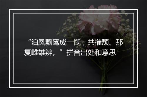 “泊凤飘鸾成一慨，共摧颓、那复雌雄辨。”拼音出处和意思