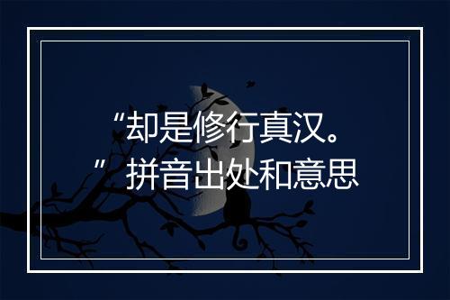 “却是修行真汉。”拼音出处和意思