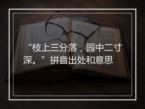 “枝上三分落，园中二寸深。”拼音出处和意思