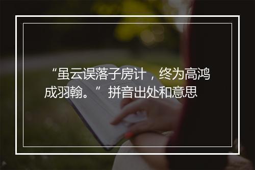 “虽云误落子房计，终为高鸿成羽翰。”拼音出处和意思