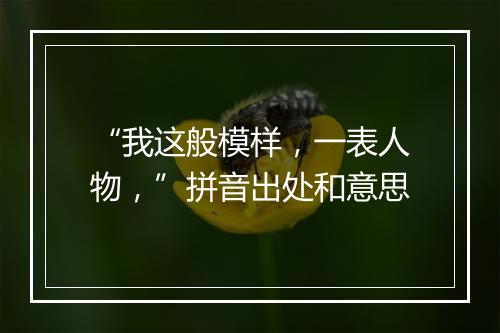 “我这般模样，一表人物，”拼音出处和意思